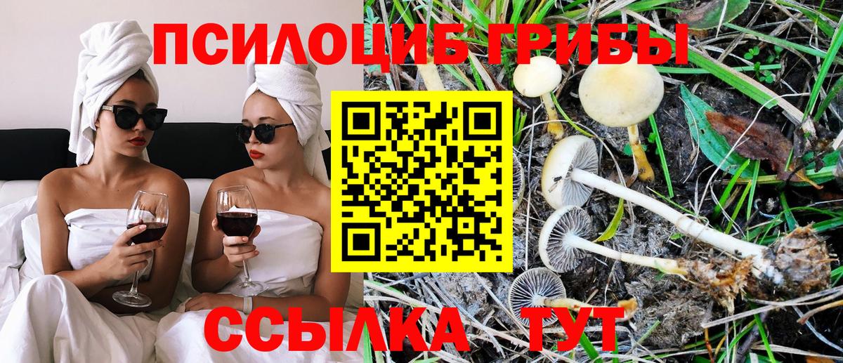 Псилоцибиновые грибы мицелий Горячий Ключ